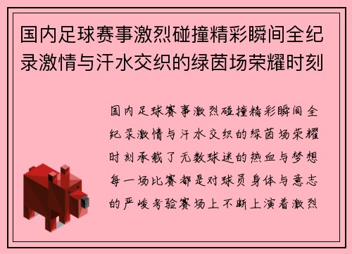 国内足球赛事激烈碰撞精彩瞬间全纪录激情与汗水交织的绿茵场荣耀时刻