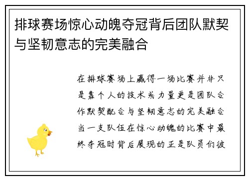 排球赛场惊心动魄夺冠背后团队默契与坚韧意志的完美融合