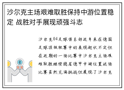 沙尔克主场艰难取胜保持中游位置稳定 战胜对手展现顽强斗志