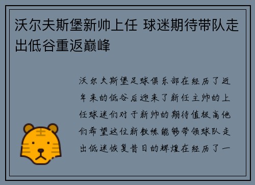 沃尔夫斯堡新帅上任 球迷期待带队走出低谷重返巅峰